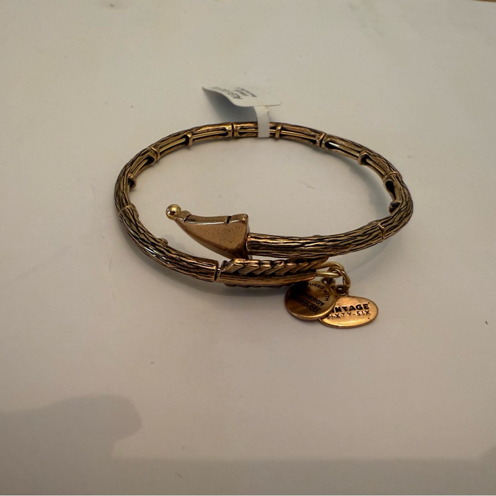 Alex & Ani Bracelet
